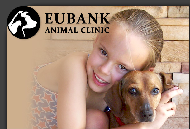 Eubank Animal Clinic - Veterinarian in Albuquerque, NM Eubank Animal Clinic - Veterinarian in Albuquerque, NM