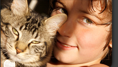 Eubank Animal Clinic - Veterinarian in Albuquerque, NM Eubank Animal Clinic - Veterinarian in Albuquerque, NM