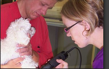 Eubank Animal Clinic - Doctors & Staff